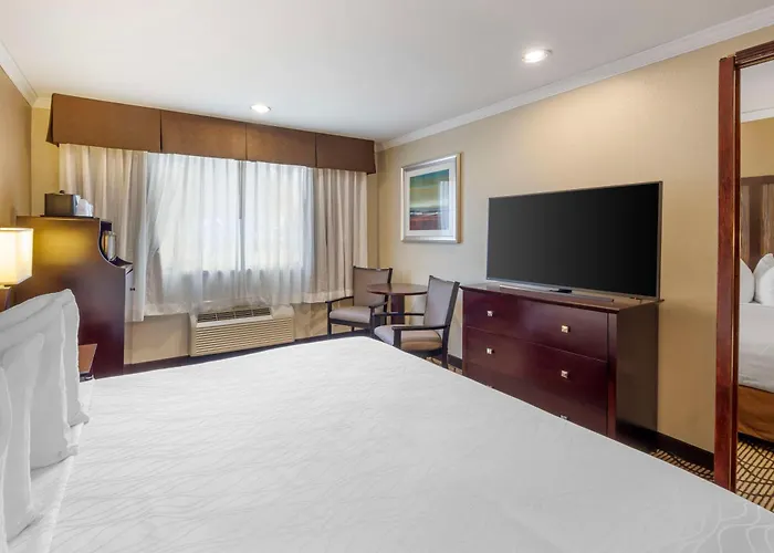 Best Western Plus Orchid Hotel & Suites