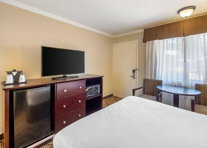 Best Western Plus Orchid Hotel & Suites